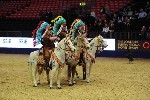 Quadrille - 00144